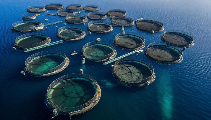 Aquaculture-Hexsor_Image 1